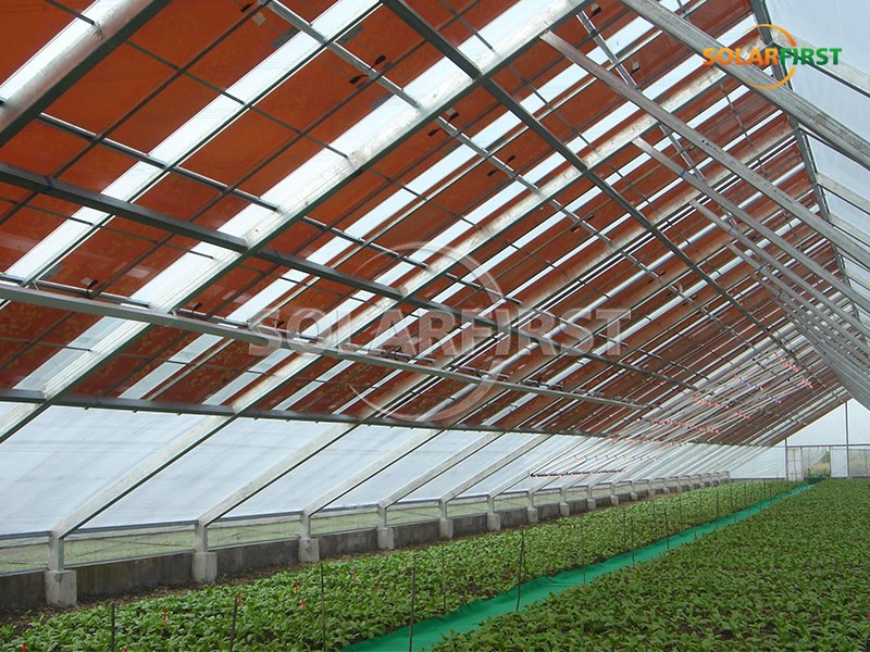 Solución de invernadero solar BIPV de 425 m² en el Reino Unido