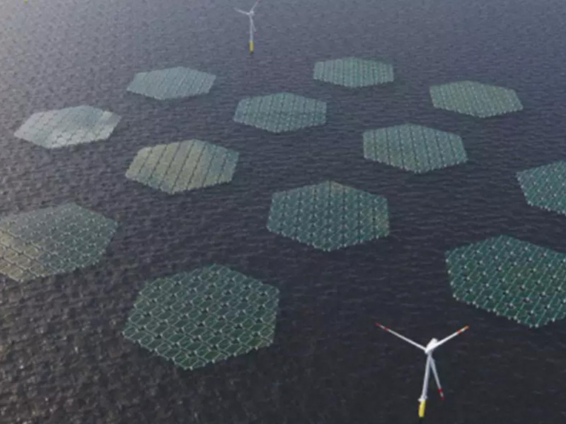 Cómo la energía fotovoltaica flotante está causando sensación a nivel mundial