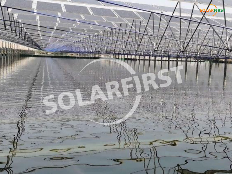 Proyecto complementario de energía solar y pesca de 20 mwp en changde, hunan
