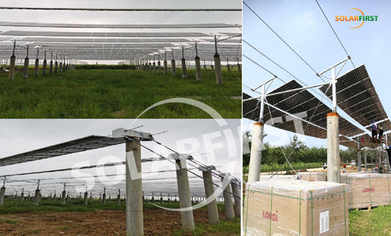 jiangsu hongsi 1mwp soporte de cable de suspensión flexible: proyecto complementario agrícola y solar
